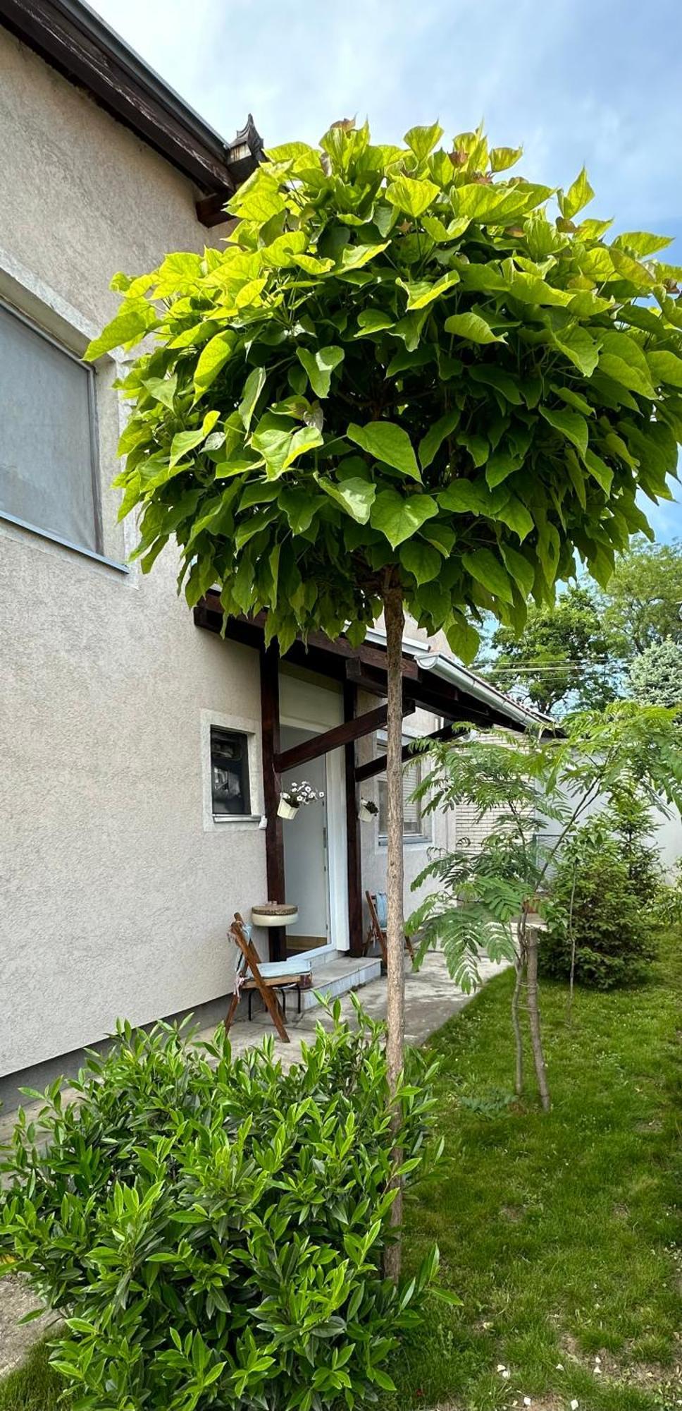 Day & Night Apartment Cuprija Luaran gambar